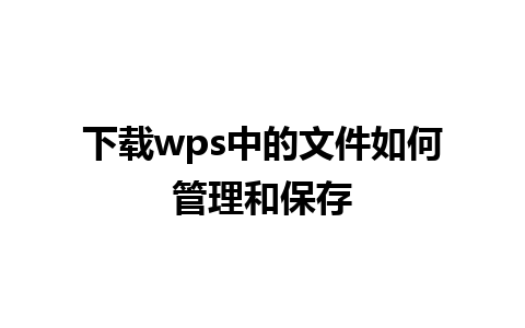 下载wps中的文件如何管理和保存