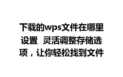 下载的wps文件在哪里设置  灵活调整存储选项，让你轻松找到文件