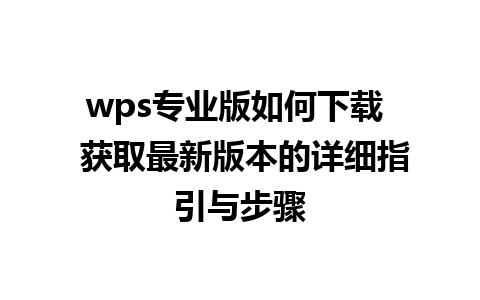 wps专业版如何下载  获取最新版本的详细指引与步骤