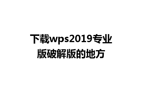 下载wps2019专业版破解版的地方