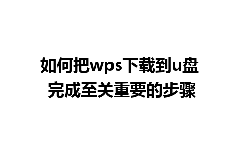 如何把wps下载到u盘 完成至关重要的步骤