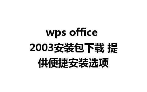 wps office 2003安装包下载 提供便捷安装选项