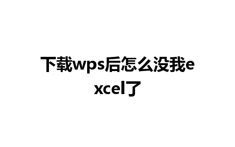 下载wps后怎么没我excel了 