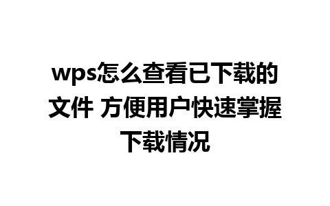 wps怎么查看已下载的文件 方便用户快速掌握下载情况