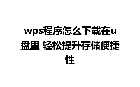 wps程序怎么下载在u盘里 轻松提升存储便捷性