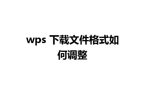 wps 下载文件格式如何调整