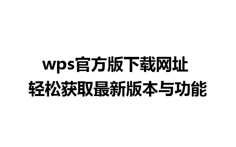 wps官方版下载网址 轻松获取最新版本与功能

