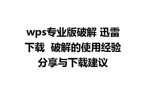 wps专业版破解 迅雷下载  破解的使用经验分享与下载建议 