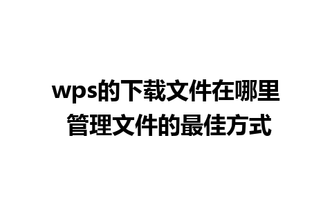 wps的下载文件在哪里 管理文件的最佳方式