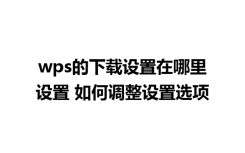 wps的下载设置在哪里设置 如何调整设置选项