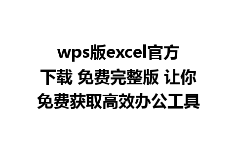 wps版excel官方下载 免费完整版 让你免费获取高效办公工具