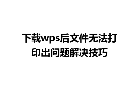 下载wps后文件无法打印出问题解决技巧