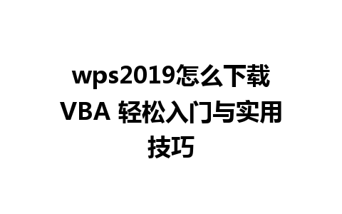 wps2019怎么下载VBA 轻松入门与实用技巧