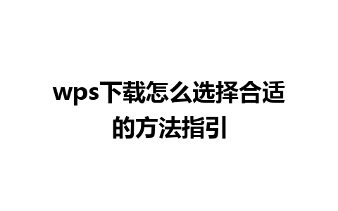 wps下载怎么选择合适的方法指引