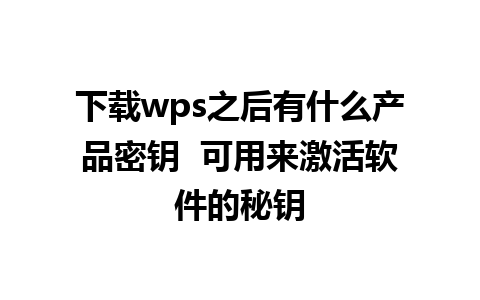 下载wps之后有什么产品密钥  可用来激活软件的秘钥