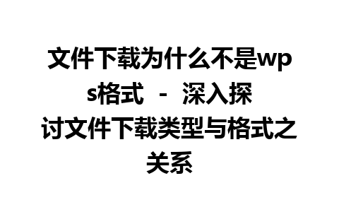 文件下载为什么不是wps格式  -  深入探讨文件下载类型与格式之关系