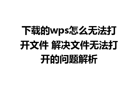 下载的wps怎么无法打开文件 解决文件无法打开的问题解析