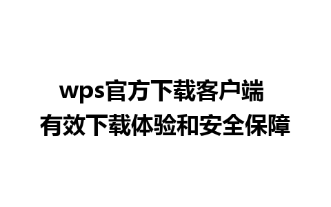 wps官方下载客户端 有效下载体验和安全保障