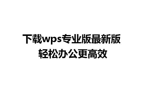 下载wps专业版最新版 轻松办公更高效