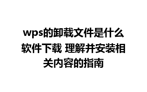 wps的卸载文件是什么软件下载 理解并安装相关内容的指南