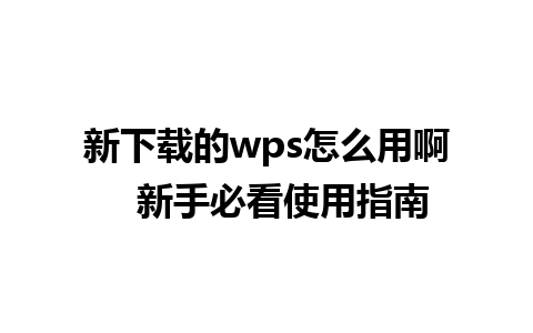 新下载的wps怎么用啊   新手必看使用指南