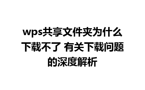 wps共享文件夹为什么下载不了 有关下载问题的深度解析