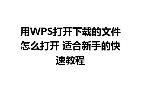 用WPS打开下载的文件怎么打开 适合新手的快速教程