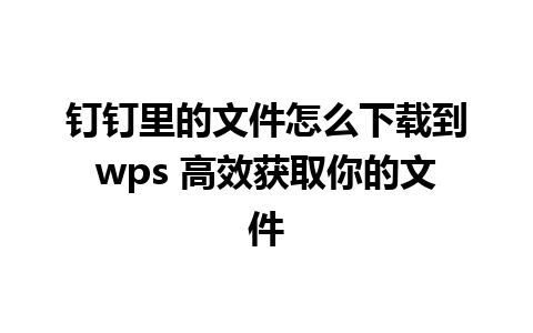 钉钉里的文件怎么下载到wps 高效获取你的文件