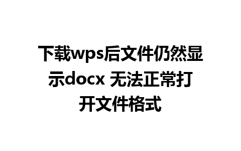 下载wps后文件仍然显示docx 无法正常打开文件格式