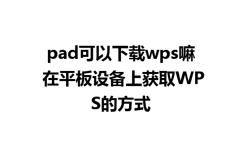 pad可以下载wps嘛 在平板设备上获取WPS的方式