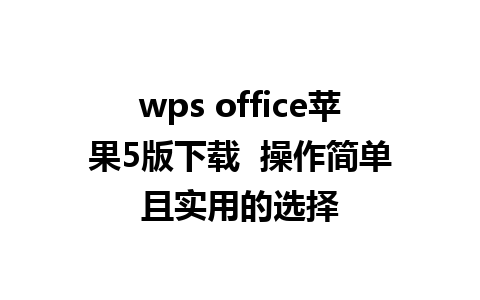 wps office苹果5版下载  操作简单且实用的选择