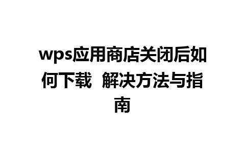 wps应用商店关闭后如何下载  解决方法与指南