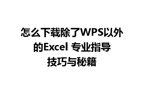 怎么下载除了WPS以外的Excel 专业指导技巧与秘籍