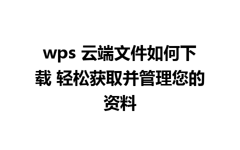 wps 云端文件如何下载 轻松获取并管理您的资料