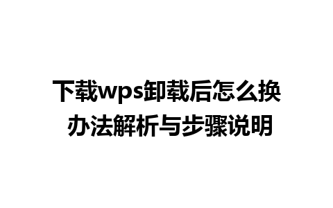 下载wps卸载后怎么换 办法解析与步骤说明