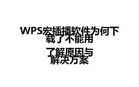  WPS宏插播软件为何下载了不能用
了解原因与解决方案