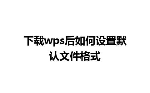 下载wps后如何设置默认文件格式