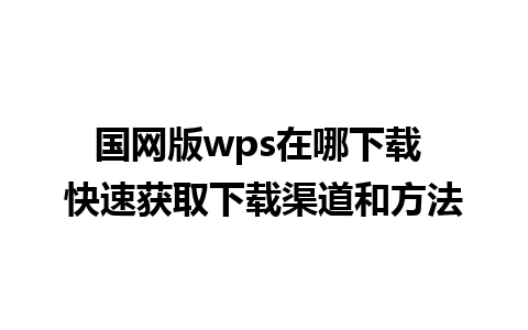 国网版wps在哪下载 快速获取下载渠道和方法