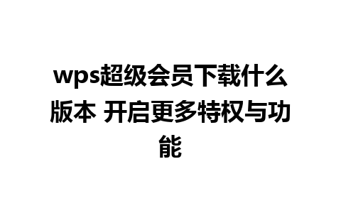 wps超级会员下载什么版本 开启更多特权与功能