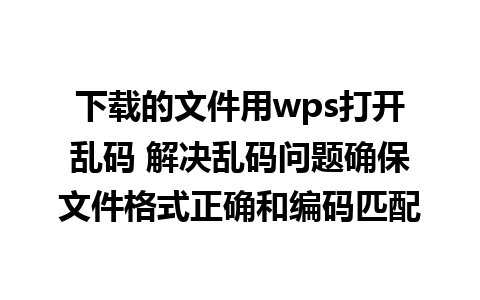 下载的文件用wps打开乱码 解决乱码问题确保文件格式正确和编码匹配