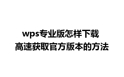 wps专业版怎样下载 高速获取官方版本的方法