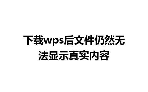 下载wps后文件仍然无法显示真实内容