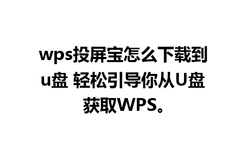 wps投屏宝怎么下载到u盘 轻松引导你从U盘获取WPS。