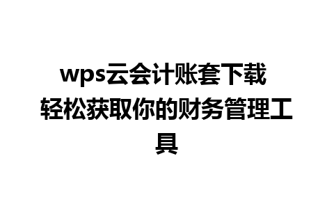 wps云会计账套下载 轻松获取你的财务管理工具