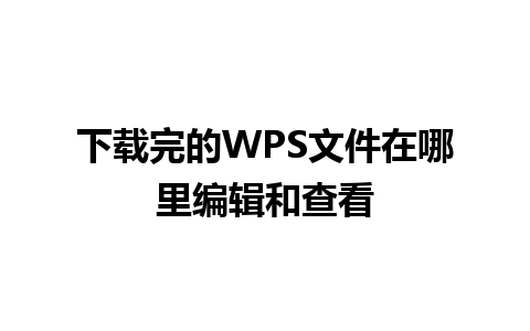 下载完的WPS文件在哪里编辑和查看