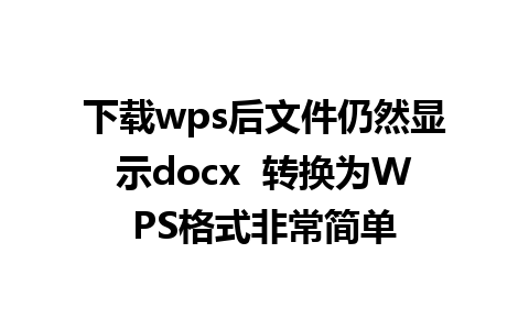 下载wps后文件仍然显示docx  转换为WPS格式非常简单