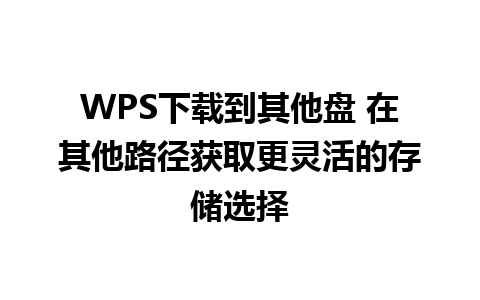 WPS下载到其他盘 在其他路径获取更灵活的存储选择