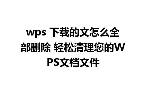 wps 下载的文怎么全部删除 轻松清理您的WPS文档文件