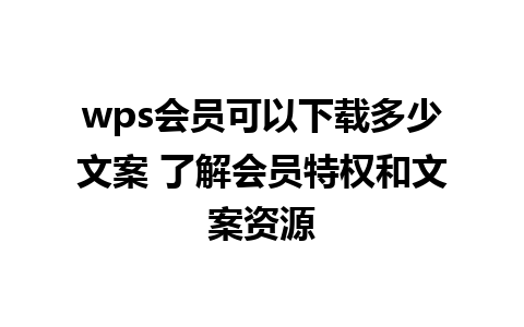 wps会员可以下载多少文案 了解会员特权和文案资源