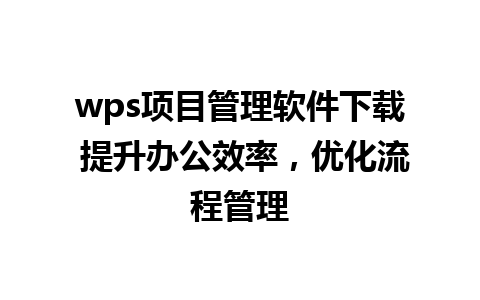 wps项目管理软件下载 提升办公效率，优化流程管理